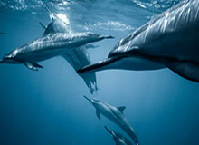 九游游戏平台：让游戏生活更丰富的入口